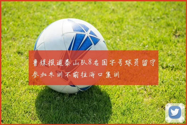 鲁媒报道泰山队8名国字号球员留守参加冬训不前往海口集训